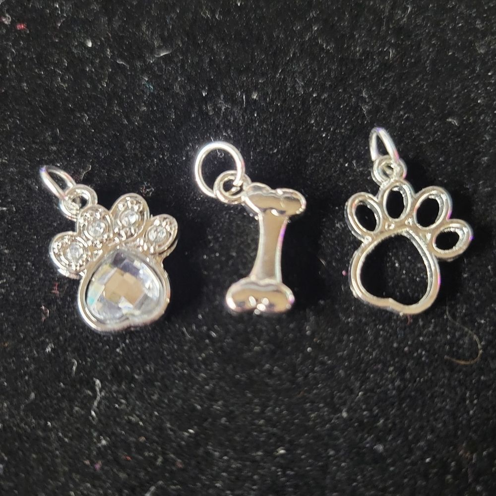 Memory Charms for your pup 😇
